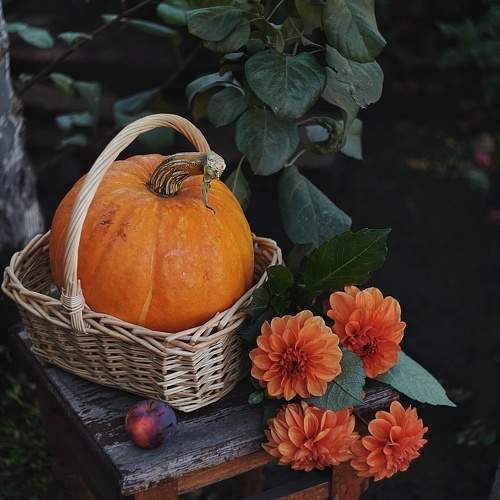 Photo #9859769