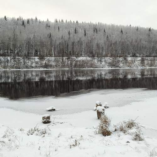 bank of the river