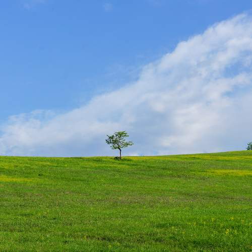 Photo #9860055
