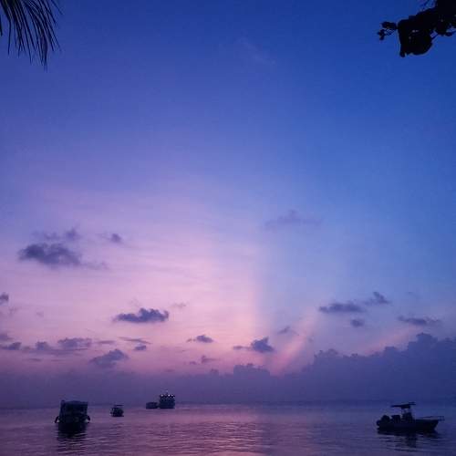 Photo #9860135