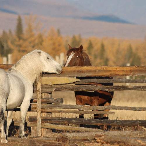 Photo #9860386