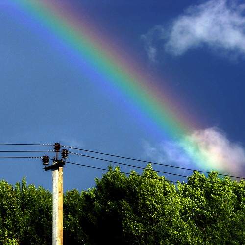 Photo #9860594