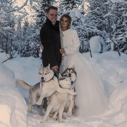 Photo #9860725