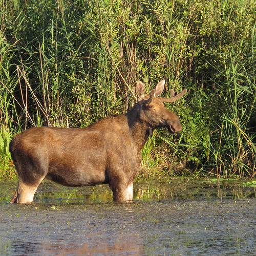 Photo #9860739