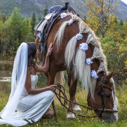 Photo #9860772