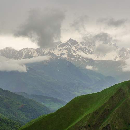 Photo #9860790
