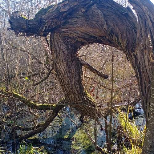 Photo #9861121