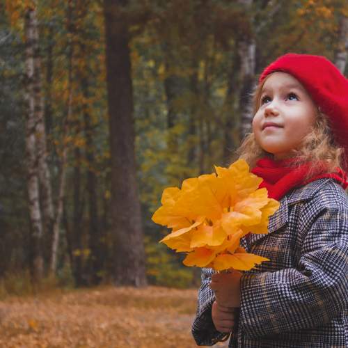 Photo #9861181