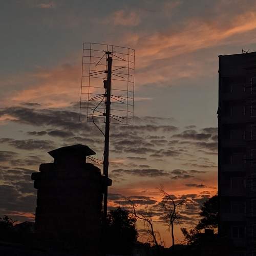 Photo #9861623