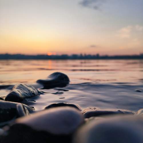 Photo #9861915