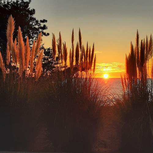 Photo #9861916