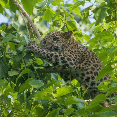 Photo #9861920