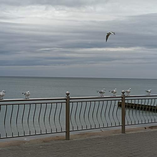 Photo #9862343