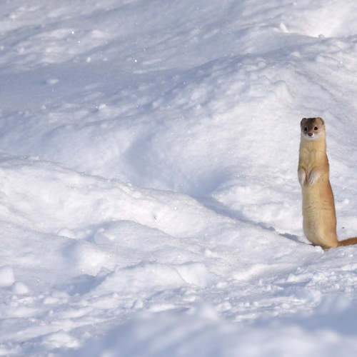 Photo #9862410