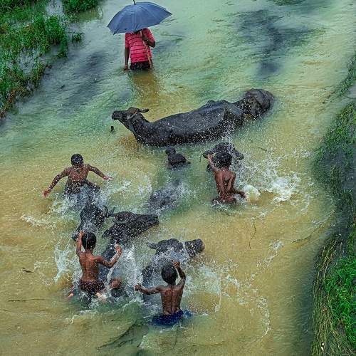Photo #9862547