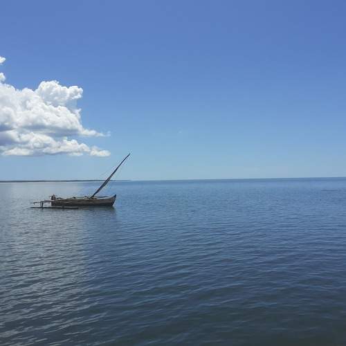 Photo #9862689