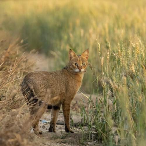 Photo #9862704