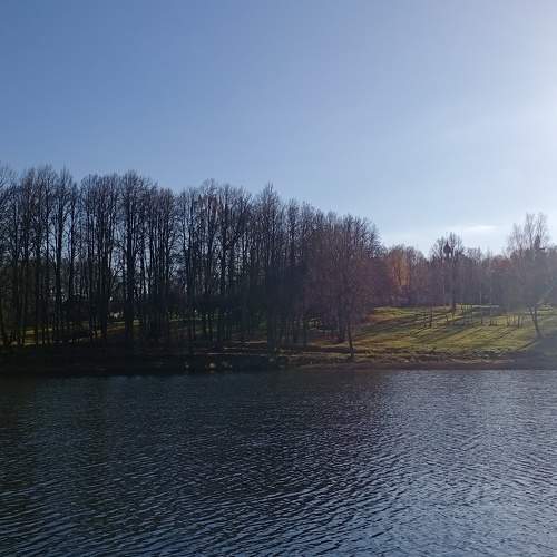 Photo #9862742