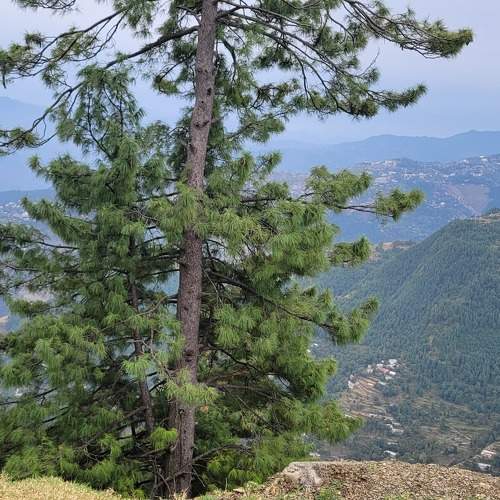 Photo #9863152