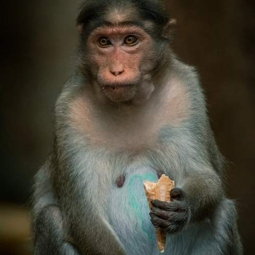 Фотография #9863392