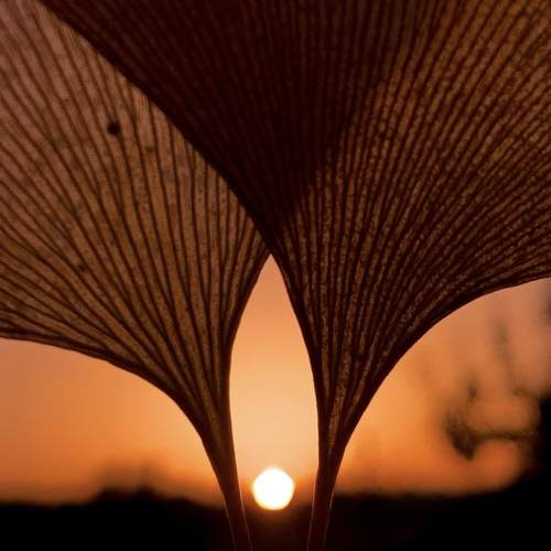 Photo #9863403