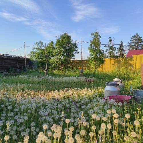 Photo #9863544