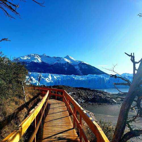 Photo #9863689