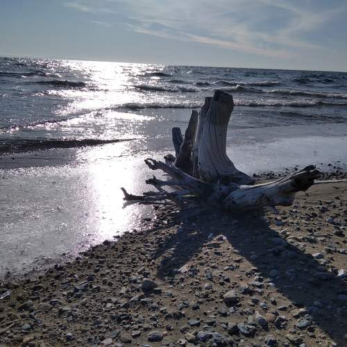 Photo #9864249