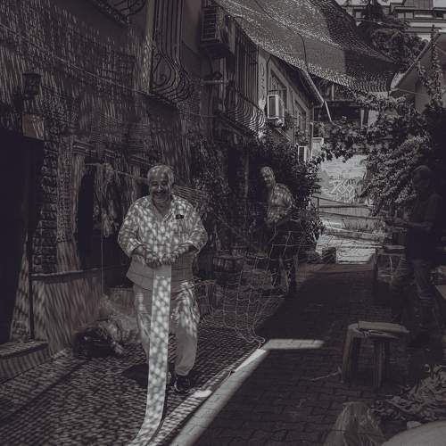 Photo #9864534