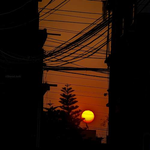 Photo #9865001