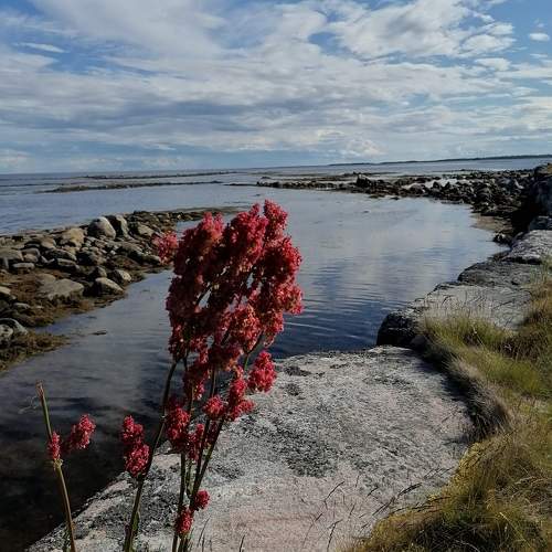 Photo #9865177