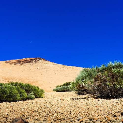 Photo #9865474
