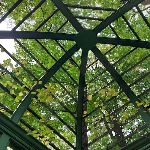 Photo #9865935