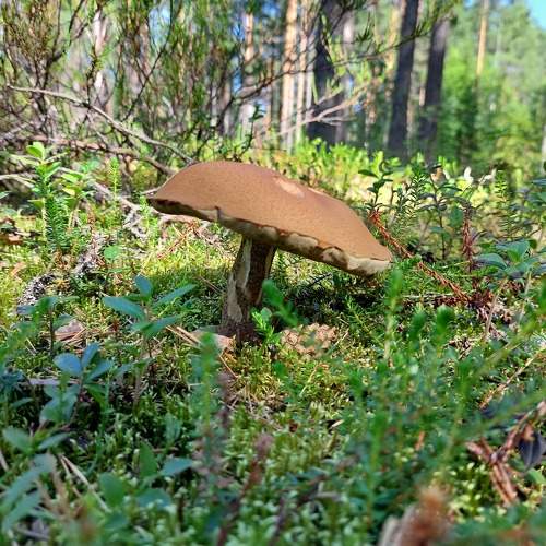 Photo #9865944
