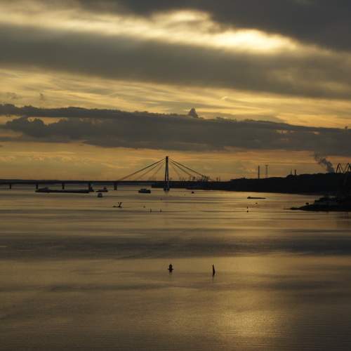 Photo #9865990