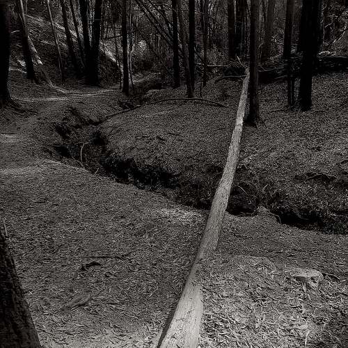 Photo #9866067