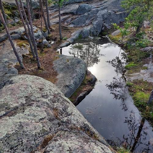 Photo #9866131