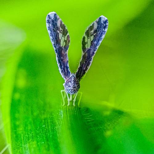 Photo #9866154