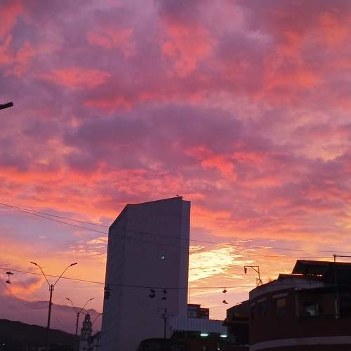 Photo #9866156