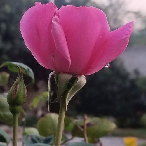Photo #9866350