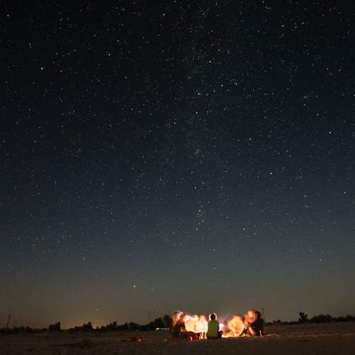 Photo #9866410