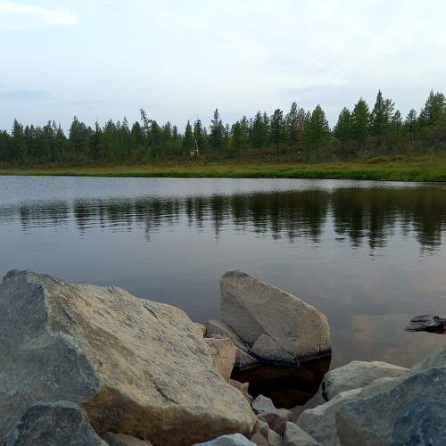 Photo #9866483