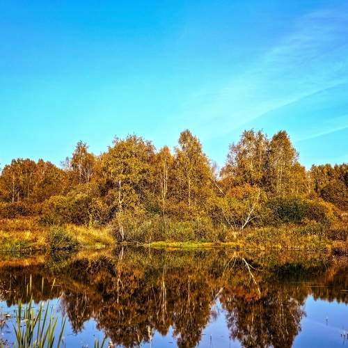 Photo #9866577