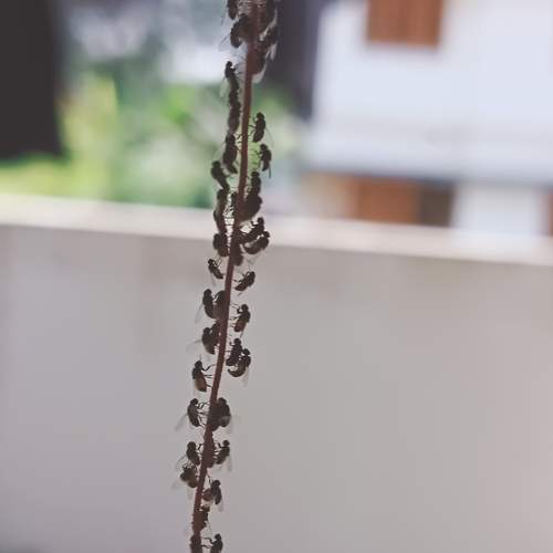 Photo #9866603
