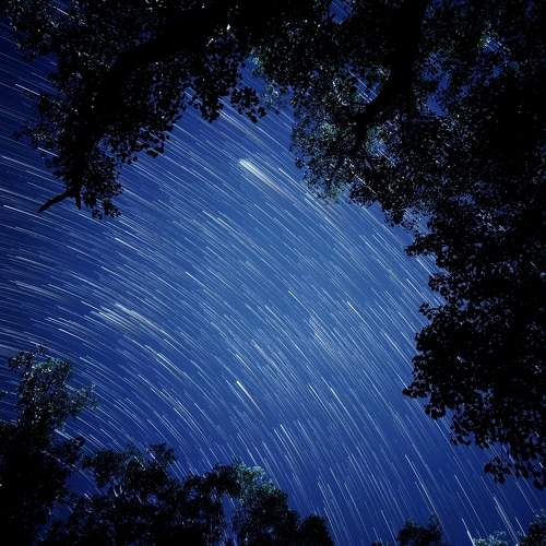 Photo #9866634
