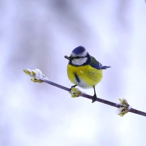 Photo #9866816