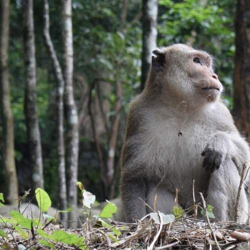 Photo #9866822