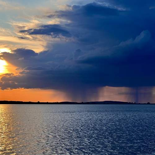 Photo #9866970