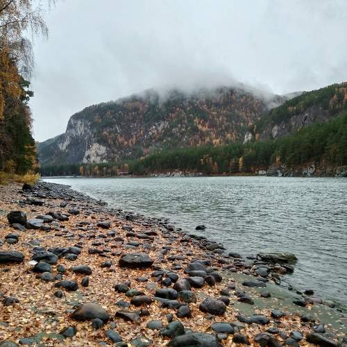 Photo #9866982