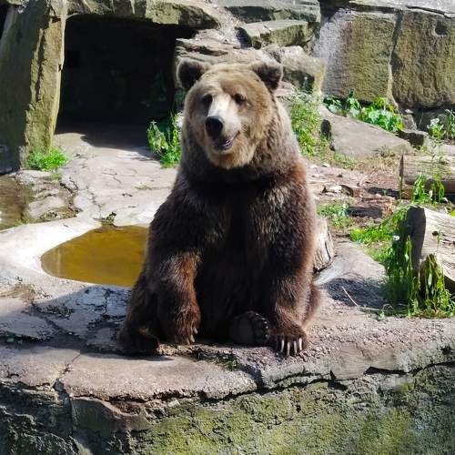 Photo #9867423
